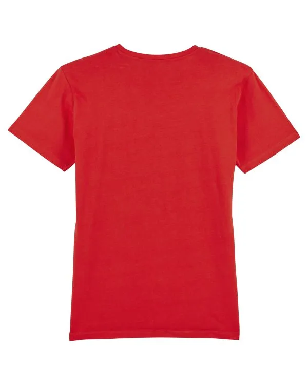 Men's Organic V-Neck T-shirt - 155 g/m² | Presenter STTM562