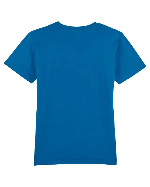 Men's Organic V-Neck T-shirt - 155 g/m² | Presenter STTM562