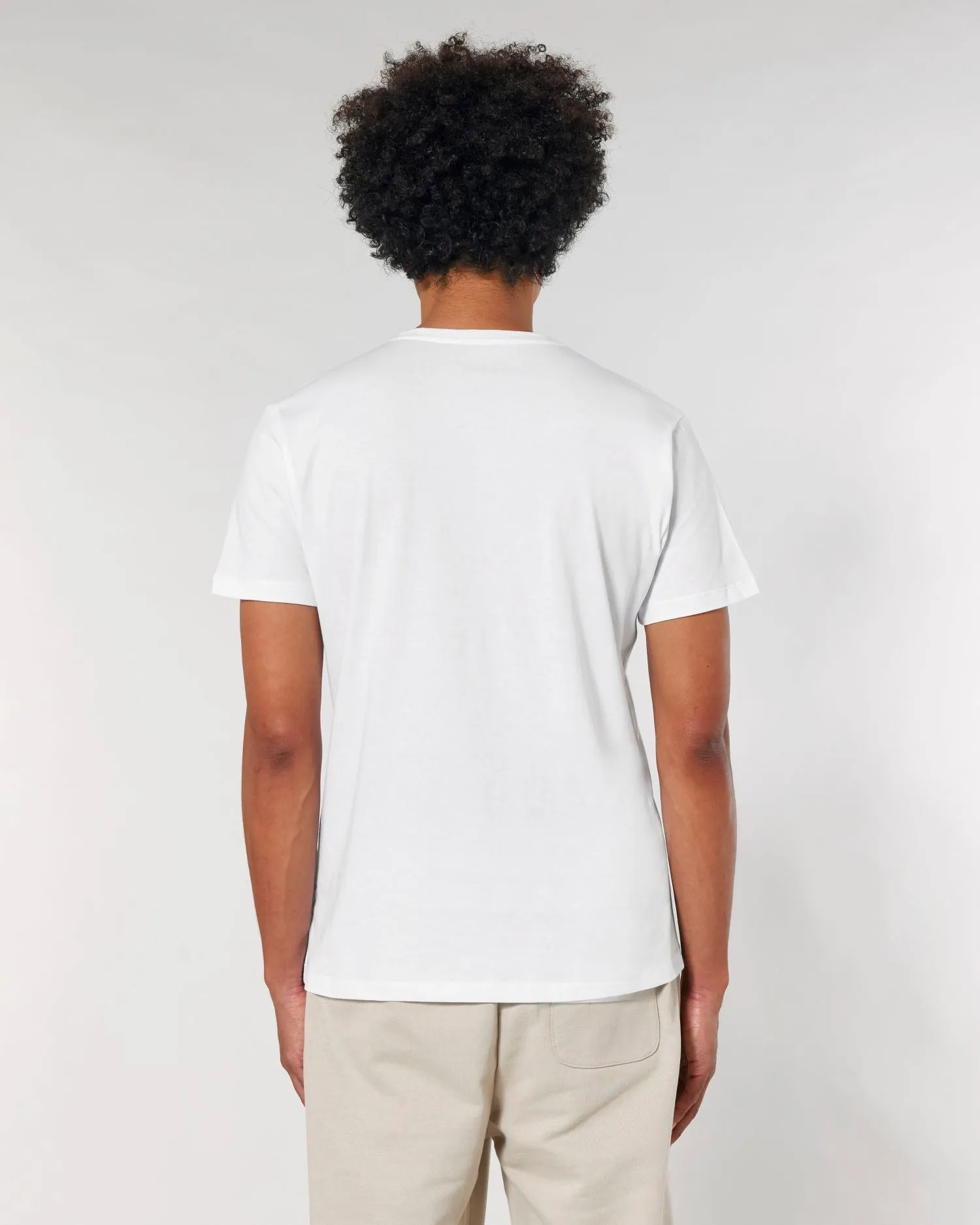 Men's Organic V-Neck T-shirt - 155 g/m² | Presenter STTM562